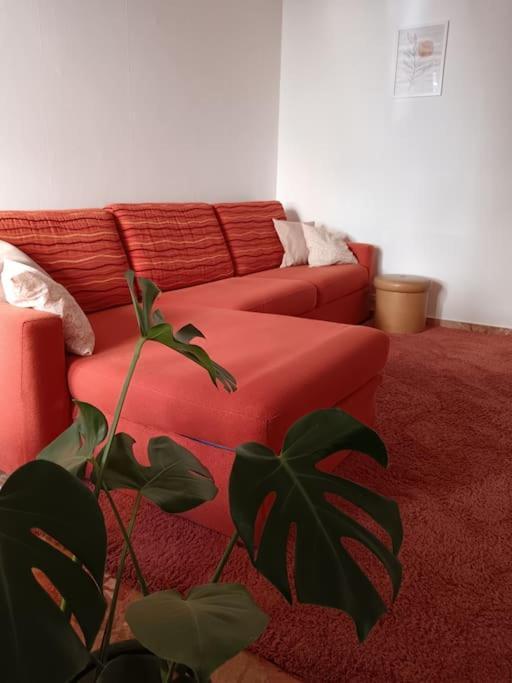 Forti Genova-Free Parking Castellaccio Apartment Екстер'єр фото